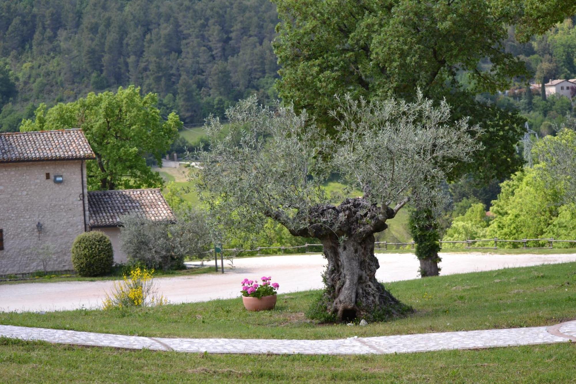 Valle Rosa Spoleto Exteriör bild